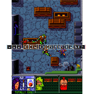 Pixelbox Arcade - Asylum (1991), a Shooter / Walking game by Leland Corp.