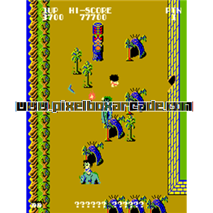 Pixelbox Arcade - Boomer Rang'r (1983), a Shooter / Walking game by Data East Corporation