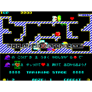 Pixelbox Arcade - Chack'n Pop (1983), a Maze game by Taito Corporation