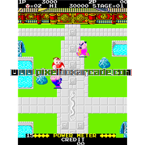 Pixelbox Arcade - Chinese Hero (1984), a Fighter / Field game by Taiyo