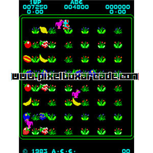 Pixelbox Arcade - Dingo (1983), a Maze game by Ashby Computers and Graphics LTD. (Jaleco license)