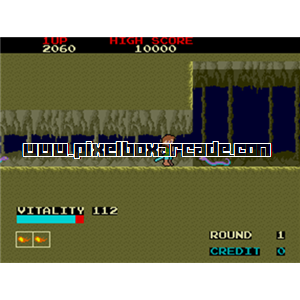 Pixelbox Arcade - Dragon Buster (1984), a Platform / Fighter Scrolling game by Namco