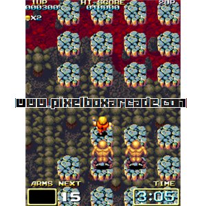Pixelbox Arcade - Evil Stone (1990), a Platform / Run Jump Scrolling game by Spacy Industrial, Ltd.