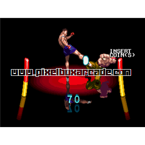 Pixelbox Arcade - Holosseum (1992), a Fighter / Versus game by Sega