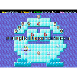 Pixelbox Arcade - Meikyu Jima (1988), a Puzzle / Maze game by Irem