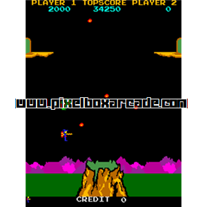 Pixelbox Arcade - Lizard Wizard (1985), a Shooter / Field game by Techstar (Sunn license)