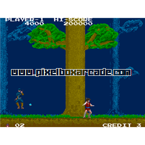 Pixelbox Arcade - The Legend of Kage (1984), a Fighter / 2D game by Taito Corporation