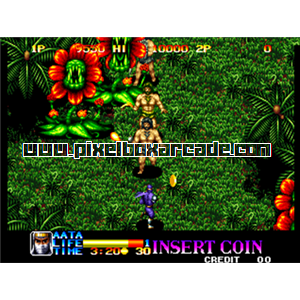 Pixelbox Arcade - Ninja Commando (1992), a Shooter / Walking game by Alpha Denshi Co.