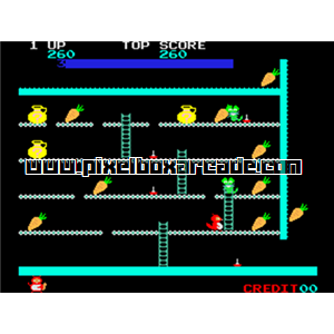 Pixelbox Arcade - Ponpoko (1982), a Platform / Run Jump game by Sigma Enterprises Inc.