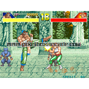 Pixelbox Arcade - Power Instinct (1993), a Fighter / Versus game by Atlus