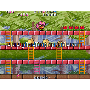 Pixelbox Arcade - Rod-Land (1990), a Platform / Run Jump game by Jaleco