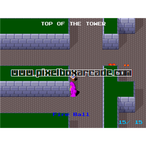 Pixelbox Arcade - The Return of Ishtar (1986), a Maze / Fighter game by Namco