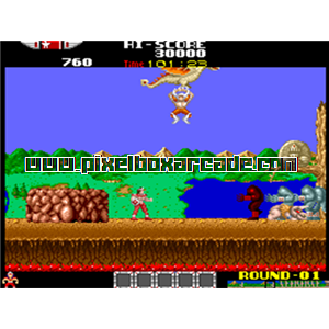 Pixelbox Arcade - Rygar (1986), a Platform / Fighter Scrolling game by Tecmo