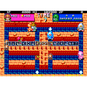 Pixelbox Arcade - Sel Feena (1991), a Maze game by East Technology