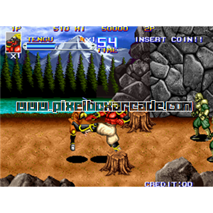 Pixelbox Arcade - Shadow Force (1993), a Fighter / 2.5D game by Technos Japan