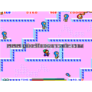 Pixelbox Arcade - TeddyBoy Blues (1985), a Platform / Shooter game by Sega