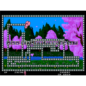 Pixelbox Arcade - Wit's (1989), a Maze / Surround game by Athena (Visco license)